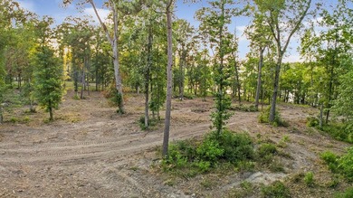**Unicorn Paradise on Lake Sam Rayburn** Discover a rare gem - photo 9