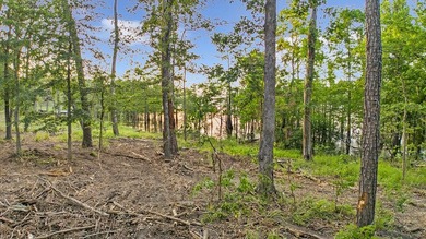 **Unicorn Paradise on Lake Sam Rayburn** Discover a rare gem - photo 10