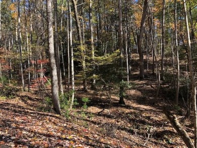 Lake Lot For Sale in Ellijay, Georgia