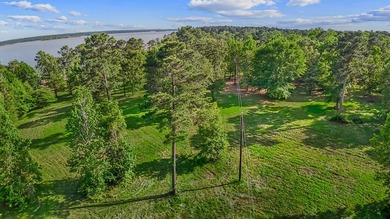 Discover 4.5 acres of cleared waterfront on the shores of Lake - photo 3