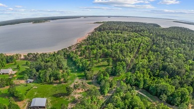 Discover 4.5 acres of cleared waterfront on the shores of Lake - photo 5