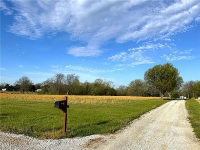 Move-in-ready home on 9 acres is only 30 minutes from Overland - photo 6