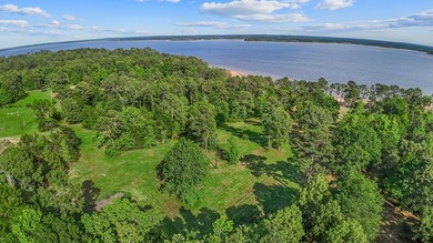Discover 4.5 acres of cleared waterfront on the shores of Lake - photo 6