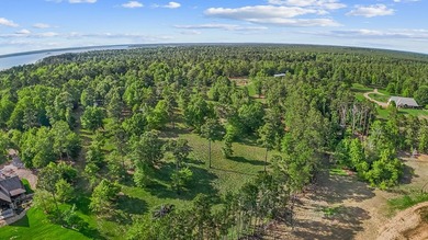 Discover 4.5 acres of cleared waterfront on the shores of Lake - photo 8