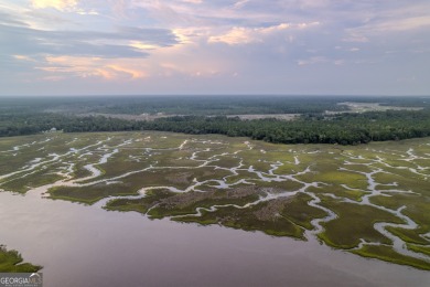 (private lake, pond, coastal) Acreage For Sale in Woodbine Georgia