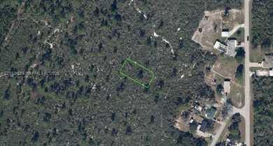 Great opportunity to own a vacant lot in Lake Placid, Florida, a - photo 1
