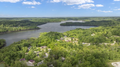 Adorable Lake Home In Linwood Park With Dock - photo 32