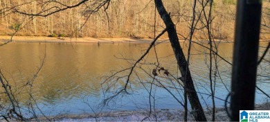 Tallapoosa River - Randolph County Acreage For Sale in Delta Alabama