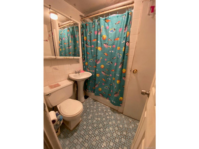 Very large and spacious two family home for sale in the - photo 14