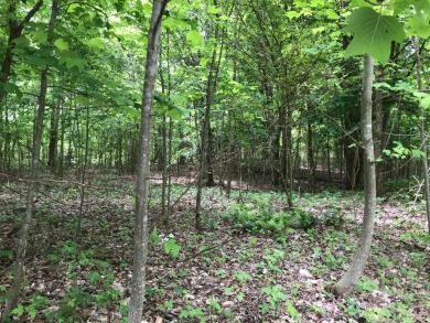 Freedom Lake  Acreage Sale Pending in Dunlap Tennessee