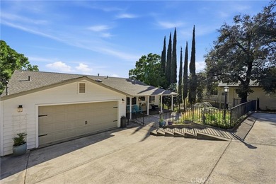 Experience elevated lakeview living in this beautifully upgraded - photo 4