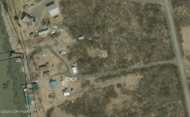 (private lake, pond, creek) Acreage For Sale in Pilot Point Alaska