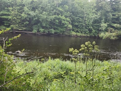 (private lake, pond, creek) Lot For Sale in Ogema Wisconsin