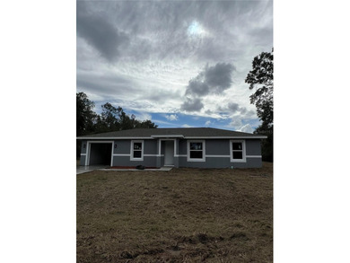 Bonable Lake Home Sale Pending in Dunnellon Florida