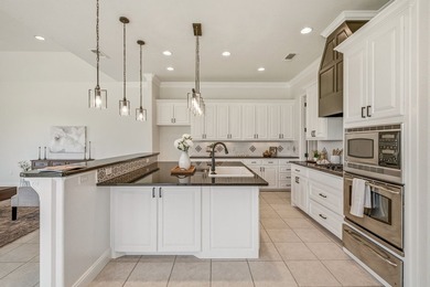 Welcome to effortless living in The Vineyards at Harbor Lakes - photo 9