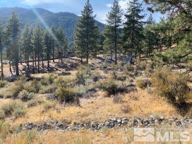 Lake Tahoe - Douglas County Lot For Sale in Carson City Nevada