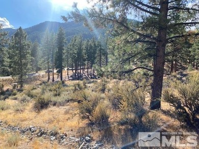 Clear Creek Tahoe is Northern Nevada's most exciting new - photo 5