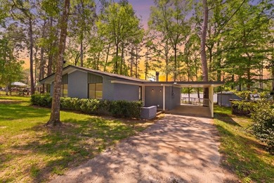 Stunning waterfront retreat on **Lake Galahad**! This - photo 7
