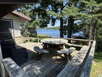 Come home to a wonderful WATERFRONT on ALL-SPORTS BIG LAKE! - photo 18