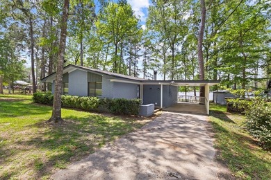 Stunning waterfront retreat on **Lake Galahad**! This - photo 9