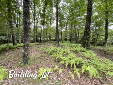 Lake In The Clouds Lot For Sale in Canadensis Pennsylvania