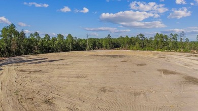 Prime development opportunity in a rapidly growing area near - photo 4