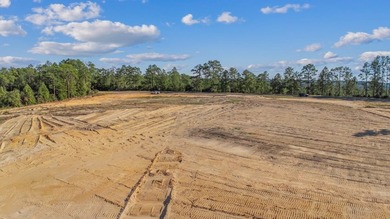 Prime development opportunity in a rapidly growing area near - photo 5
