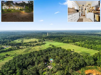 (private lake, pond, creek) Home For Sale in Big Sandy Texas