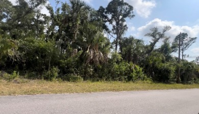 Port Charlotte Waterway Lakes Area Lot For Sale in Port Charlotte Florida