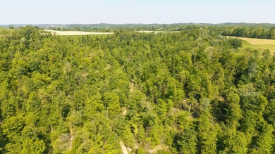 First Class Trophy Ranch is a 115 acre, two-parcel turnkey - photo 13