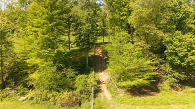 First Class Trophy Ranch is a 115 acre, two-parcel turnkey - photo 29