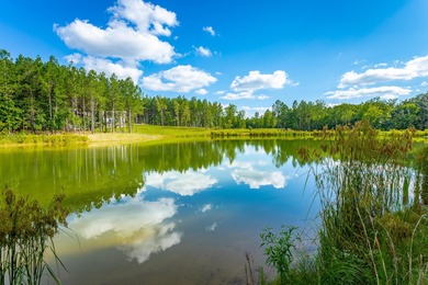 (private lake, pond, creek) Lot For Sale in Jasper Tennessee