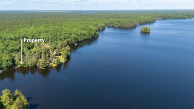 Lake Home For Sale in Manitowish Waters, Wisconsin