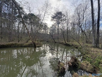 Escape to this private lake retreat in Leesburg, Alabama - photo 2