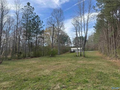 Escape to this private lake retreat in Leesburg, Alabama - photo 4
