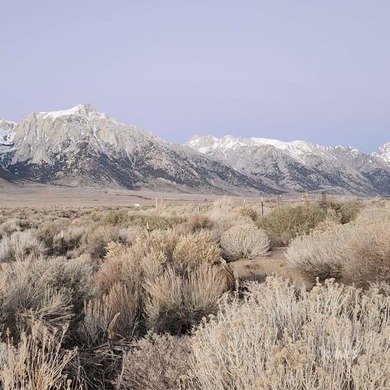 Diaz Lake Acreage For Sale in Lone Pine California