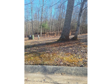Lake Nottely Lot Active Under Contract in Blairsville Georgia