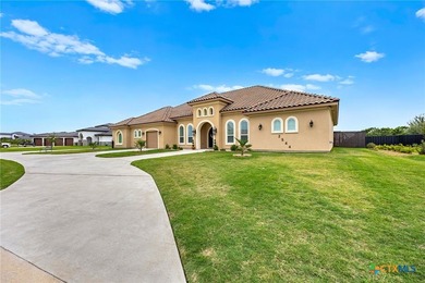 Experience elevated Central Texas living at 2544 Jubilation Dr - photo 5