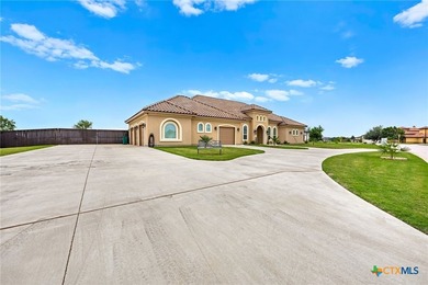 Experience elevated Central Texas living at 2544 Jubilation Dr - photo 6
