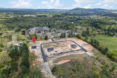 New Construction (UNDER CONSTRUCTION) in the HIGHLY sought after - photo 10
