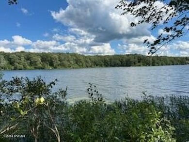 Located in scenic Northern Wayne County sits a beautiful 4.62 - photo 14