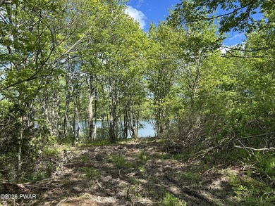 Located in scenic Northern Wayne County sits a beautiful 4.62 - photo 16