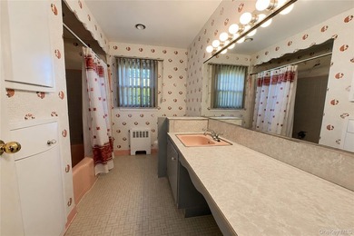 Set on a 60x100 lot in The Forest City section of Wantagh in - photo 18