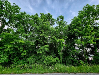 (private lake, pond, creek) Lot For Sale in Dayton Tennessee