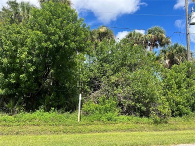 Beautiful building lot in the up-and-coming area of Rotonda - photo 1