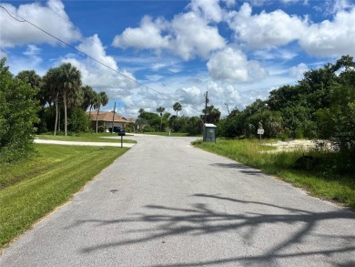 Beautiful building lot in the up-and-coming area of Rotonda - photo 4