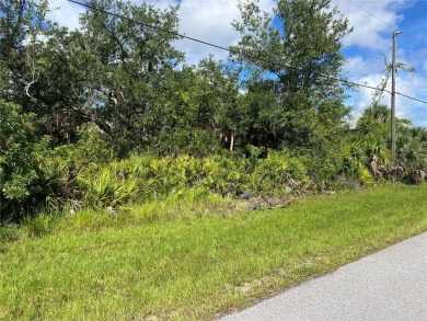 Beautiful building lot in the up-and-coming area of Rotonda - photo 3