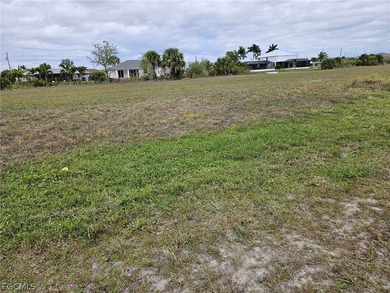 BUILDERS and INVESTORS!! $39,000 - FRESHWATER LOT in the NW Cape - photo 6