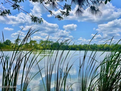 Lake Acreage For Sale in Mims, Florida