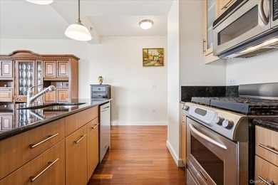 Sophisticated Corner Condo with Stunning Southern & Eastern - photo 13